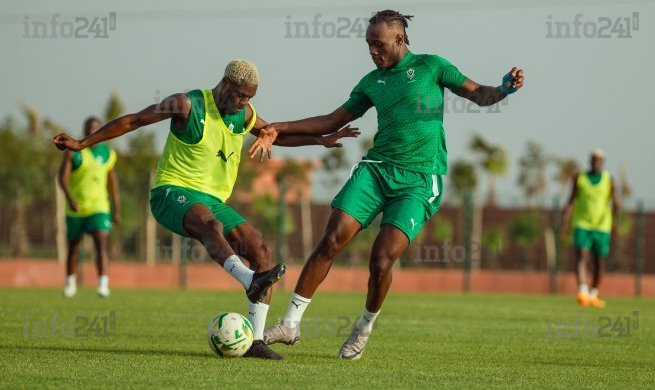 Mondial 2026 : Les Panthères du Gabon déjà en Côte d’Ivoire pour défier le champion d’Afrique