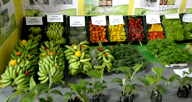 Agriculture : Libreville accueille depuis ce matin sa seconde foire agricole