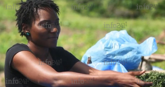 RDC : Des jeunes formés à la création d’entreprise avec l’appui de l’OIT