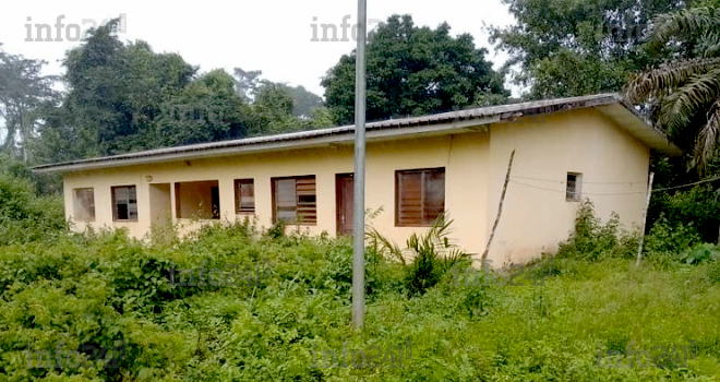 Gabon : Un dispensaire abandonné par son infirmier car hanté par de mystérieuses abeilles