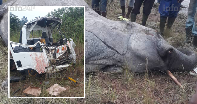 Guidouma : Deux morts dans une grave collision d’un véhicule avec un pachyderme