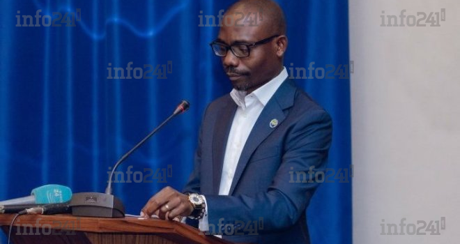 Législatives et locales 2025 : Quels sont les candidats investis par l’UDB d’Oligui Nguema ?