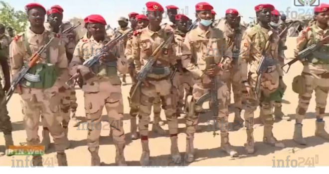 Niger : Six otages libérés par l’armée après une attaque de Boko Haram dans le sud-est 