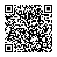 qrcode:http://info241.ga/faute-de-structure-d-accueil-un-malade-mental-confisque-un-banc,6058