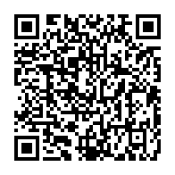 qrcode:http://info241.ga/rose-ossouka-raponda-remplace-ali-bongo-a-une-reunion-virtuelle,6591