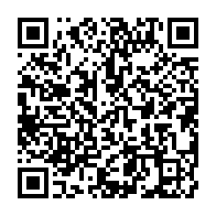 qrcode:http://info241.ga/les-regles-du-commerce-international-freine-l-industrialisation,1012