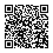 qrcode:http://info241.ga/ce-qu-il-faut-savoir-quand-on-recoit-des-paiements-en-bitcoins,7312