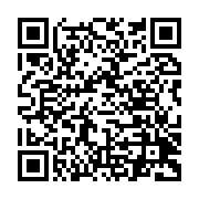 qrcode:http://info241.ga/des-internautes-demontent-les-mensonges-de-brice-laccruche-sur,4422