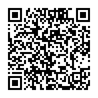 qrcode:http://info241.ga/mozambique-le-bilan-du-passage-du-cyclone-chido-s-alourdit-a-120,2251