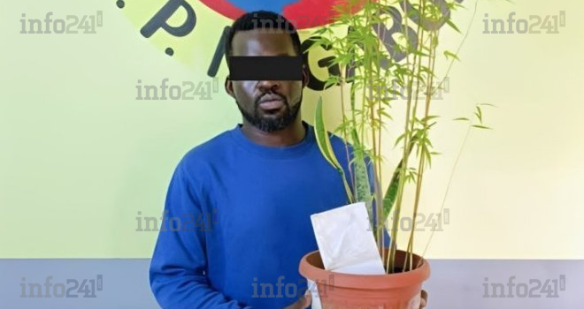 Coup de filet à l’USTM&nbsp;: Un étudiant reconverti en dealer, écroué pour trafic de cannabis à Franceville