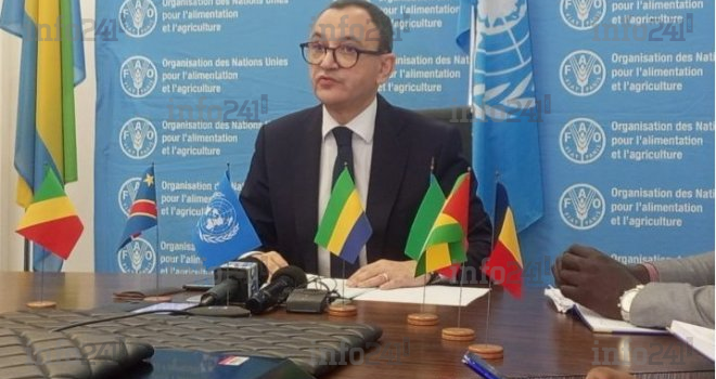 Les experts de la FAO d’Afrique centrale en conclave dès ce 12 avril à Libreville