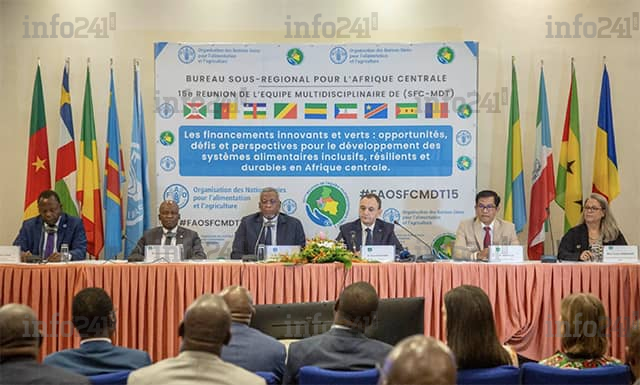 Ouverture à Libreville de la 15e réunion d’experts de la FAO sur les financements innovants et verts