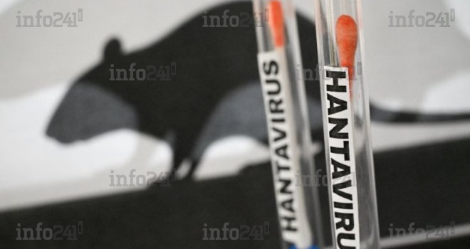 Hantavirus&nbsp;: Le Gabon renforce sa surveillance aux frontières malgré l’absence de cas sur son territoire