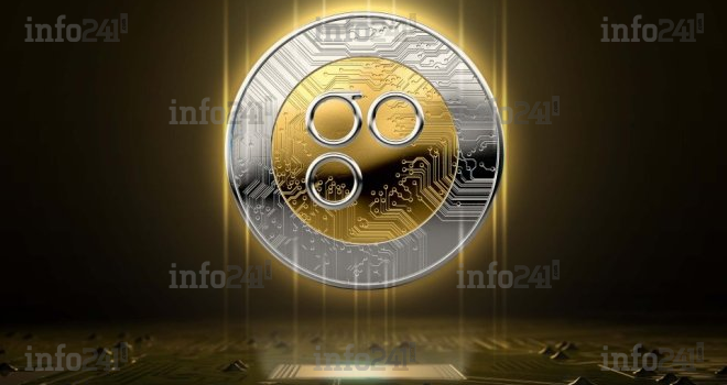Quels sont les avantages d’utiliser le réseau OMG pour les transactions&nbsp;?