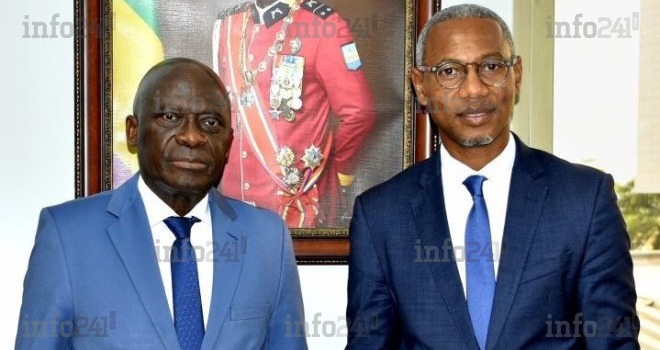 Panthères du Gabon&nbsp;: l’attente du futur coach s’éternise après le tri de 605 candidatures 