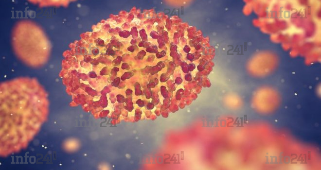 Variole du singe&nbsp;:  Plus de 88 000 cas détectés dans le monde depuis 2022