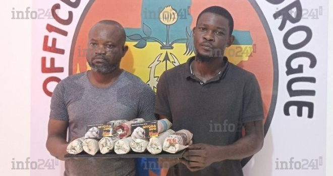 Port-Gentil&nbsp;: Fin de course pour deux dealers et leurs 50 bottes de chanvre d’une valeur de 1,6 million