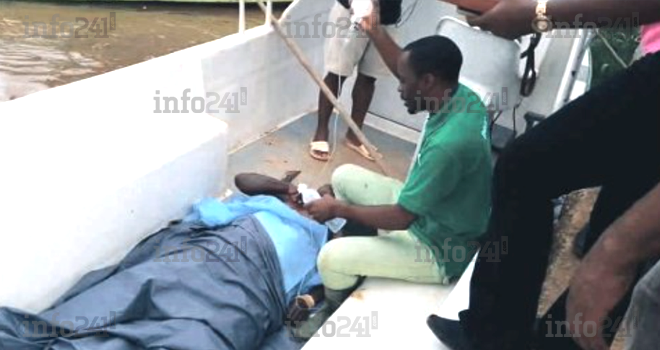 Makouké&nbsp;: Un chasseur contraint de faire le mort pour échapper à la furie d’un éléphant