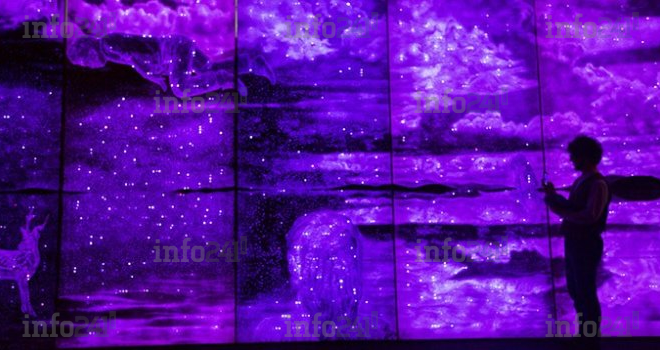 L’UNESCO adopte des directives internationales pour protéger les artistes et la diversité des contenus culturels sur Internet 