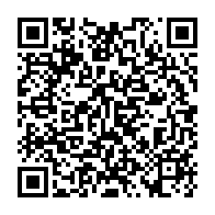 qrcode:https://info241.ga/legislatives-2025-vague-de-ralliements-en-faveur-des-candidats,10984