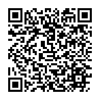 qrcode:https://info241.ga/gabon-africa-united-airlines-vole-au-secours-d-un-bebe-chimpanze,10795