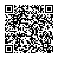 qrcode:https://info241.ga/presidentielle-gabonaise-2025-les-neuf-gendarmes-de-l-acer-enfin,10032
