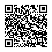 qrcode:https://info241.ga/niger-le-president-dechu-se-porte-bien-apres-une-tentative-d,1902