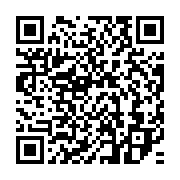 qrcode:https://info241.ga/eliminatoires-can-u17-les-supers-eagles-du-nigeria-deja-a,346