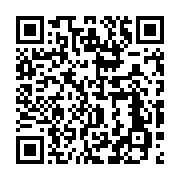 qrcode:https://info241.ga/gabon-173-5-milliards-de-fcfa-leves-sur-la-cemac-la-dette,12025