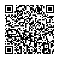 qrcode:https://info241.ga/immatriculation-de-navires-russes-au-gabon-les-clarifications-du,9095