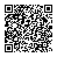 qrcode:https://info241.ga/au-moins-22-morts-dont-14-enfants-dans-l-attaque-d-un-village-au,106
