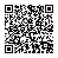 qrcode:https://info241.ga/elections-professionnelles-2026-au-gabon-entre-forte-affluence,11859