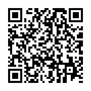qrcode:https://info241.ga/une-afrique-une-multitude-d-histoires-journee-de-l-afrique,11960