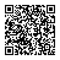 qrcode:https://info241.ga/les-operateurs-maritimes-asphyxies-songent-a-une-nouvelle-hause,7372