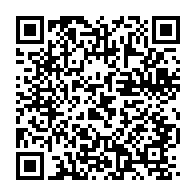 qrcode:https://info241.ga/mali-l-auteur-de-l-agression-contre-le-president-de-transition,932