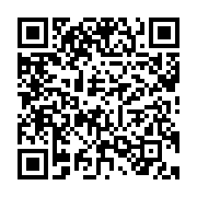 qrcode:https://info241.ga/presidentielle-2023-rio-noir-de-monde-pour-le-premier-grand,8147