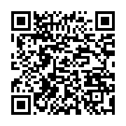 qrcode:https://info241.ga/pour-noel-le-ctri-permet-enfin-a-patience-dabany-de-voir-son,8517