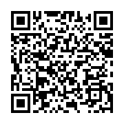 qrcode:https://info241.ga/la-legitimite-politique-au-gabon-n-a-pas-de-prix,2862