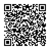 qrcode:https://info241.ga/rdc-la-ville-de-goma-privee-d-electricite-et-d-internet-depuis,2291