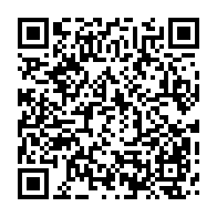qrcode:https://info241.ga/pantheres-du-gabon-boupendza-et-allevinah-deux-cracks-qui-font,6549