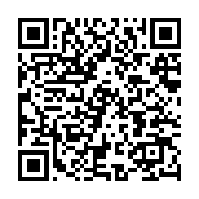 qrcode:https://info241.ga/revivez-en-images-la-mobilisation-de-la-diaspora-gabonaise,2295