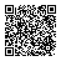 qrcode:https://info241.ga/des-internautes-demontent-les-mensonges-de-brice-laccruche-sur,4422
