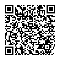 qrcode:https://info241.ga/niger-44-civils-ont-ete-tues-dans-une-attaque-terroriste-dans-le,2341
