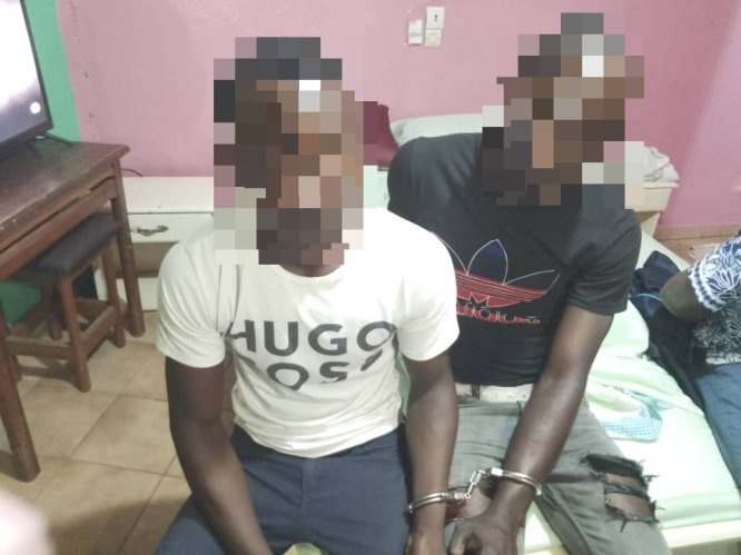 Arrestation de trafiquants d’ivoire à Lastoursville et Koula-Moutou, nouveau coup porté contre le braconnage au Gabon