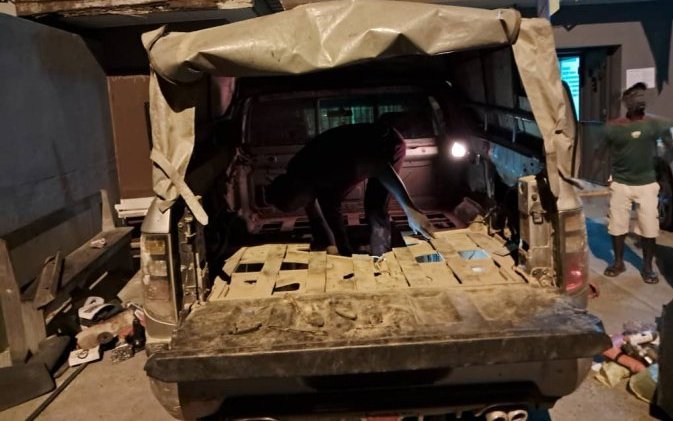 Une dizaine de braconniers aux ramifications internationales devant la justice gabonaise ce vendredi