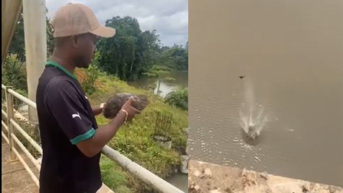 Hercule Nze Souala devient la risée du web après avoir noyé une tortue qu’il croyait sauver