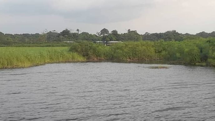 Bendjé&nbsp;: Le cri de détresse des habitants du Lac Anengué envahis de blocs de papyrus