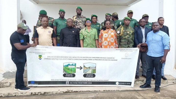 Moyen-Ogooué&nbsp;: Les acteurs de la foresterie sociale renforcent leurs capacités