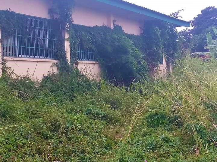 Université Omar Bongo, de temple du savoir à celui des hautes herbes&nbsp;!