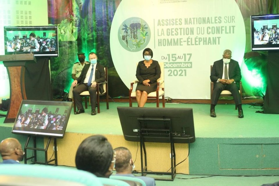 Clôture des Assises gabonaises sur le conflit homme-éléphant et ses 5 milliards pour 2022